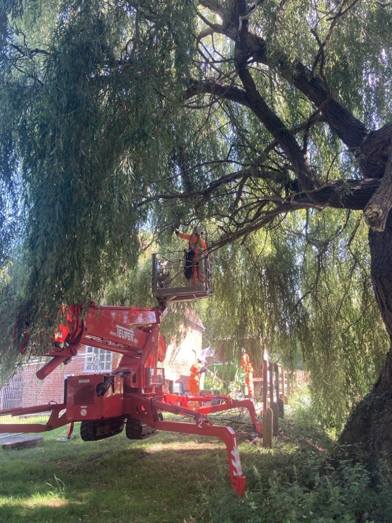 Spider lift used for tree work